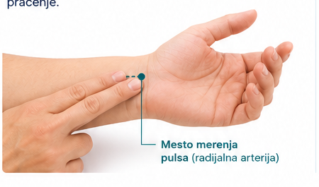 Ilustracija mesta merenja pulsa na radijalnoj arteriji